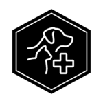 Hexagon icon showing for the Advancing Animal Health major, featuring an outline of a dog and a cat with the medical plus sign.