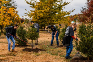 Image showing volunteers planting trees.