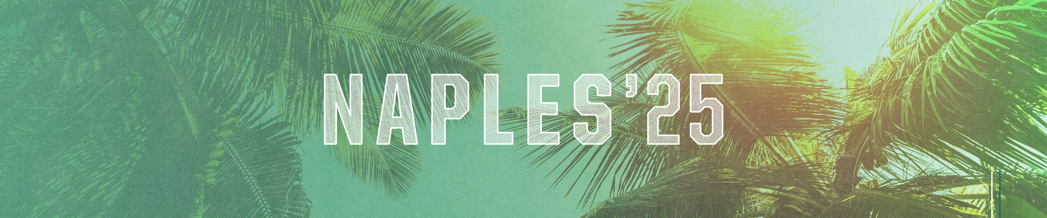 Website banner displaying 'Naples 2025' with a background of palm trees.