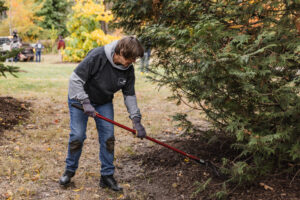 An image featuring a Purdue Day of Service volunteer mulching at Horticulture Park.