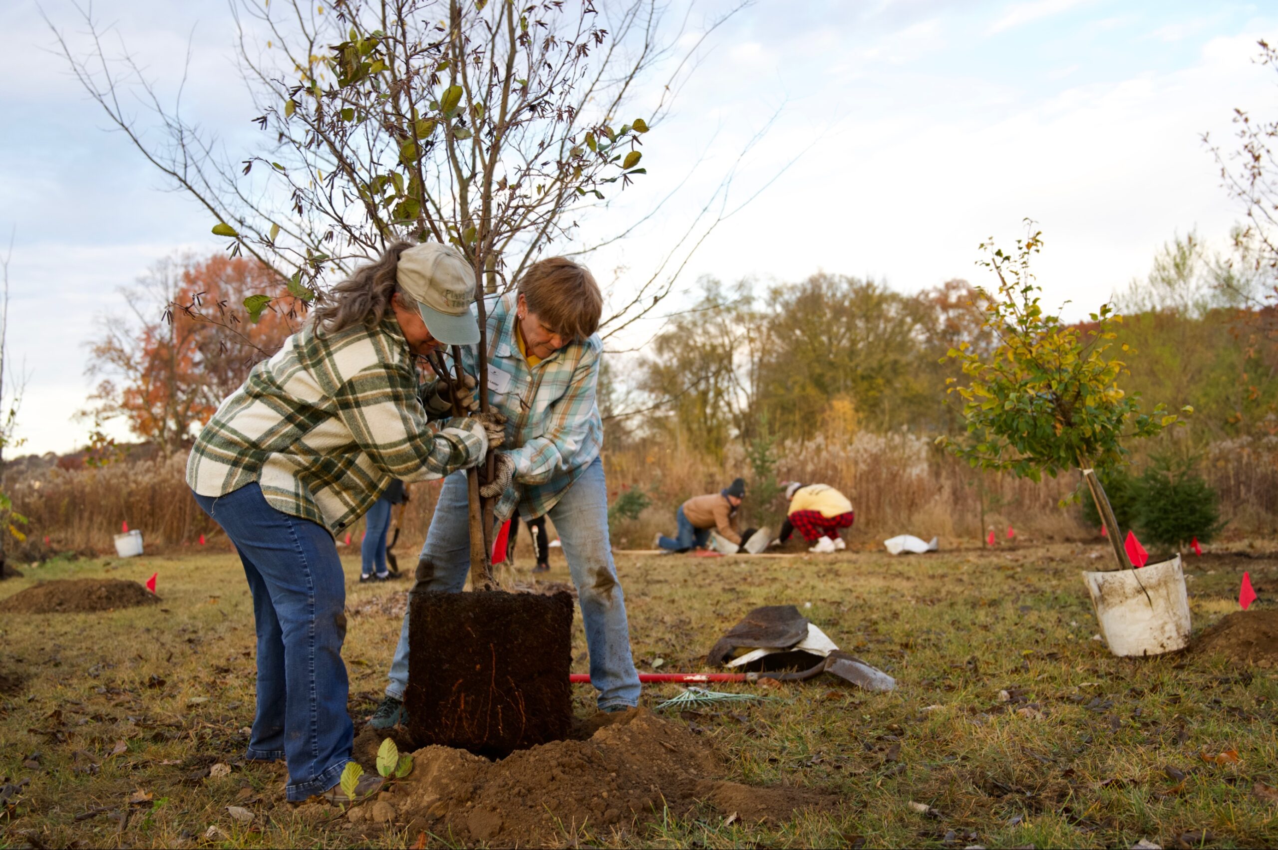 Volunteers planting one of the 325 trees planted during the 2022 Purdue Day of Service, which was held October 28 at Horticulture Park.