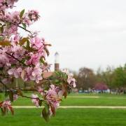 Purdue University's Campus during a spring day