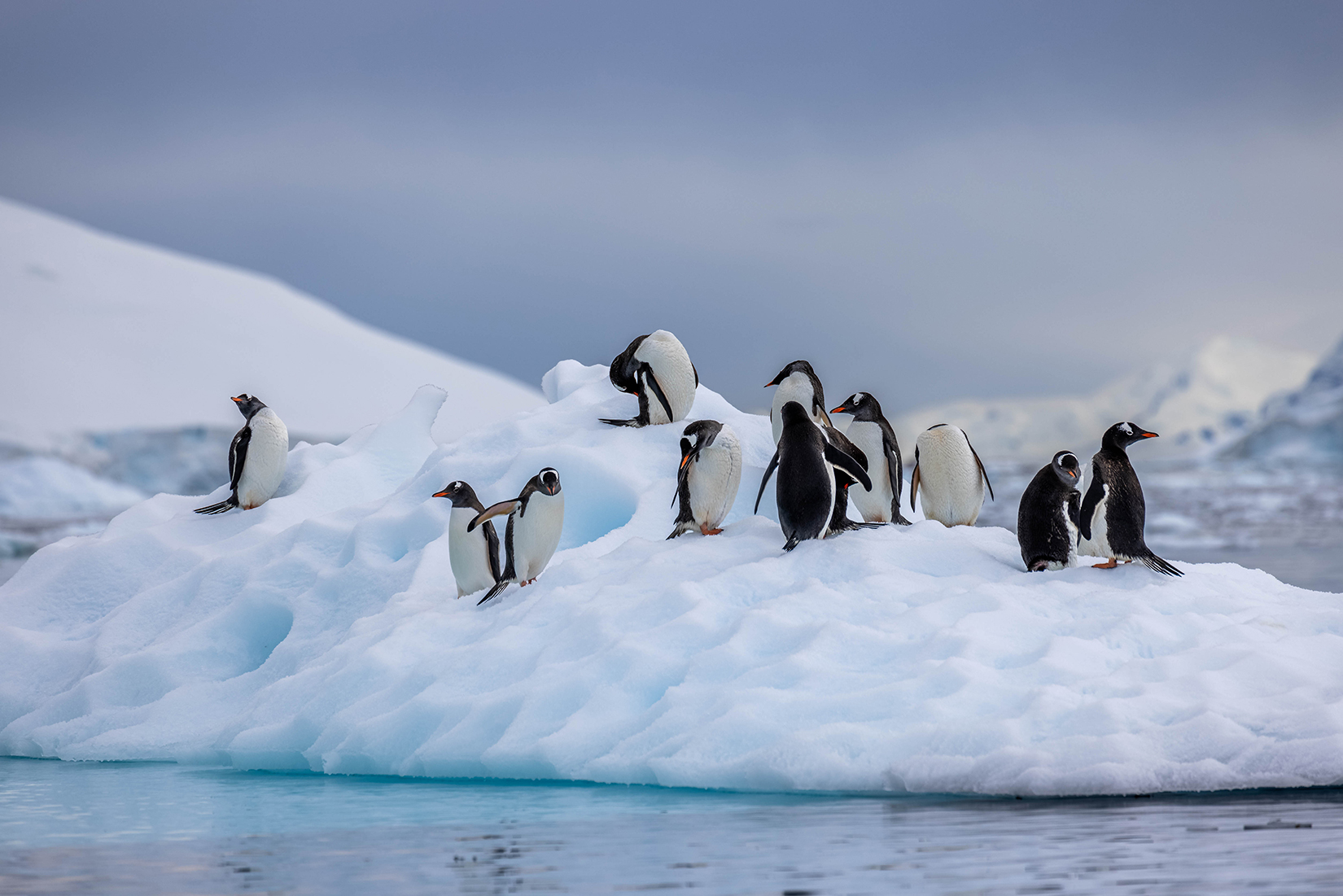 Antarctica Discovery